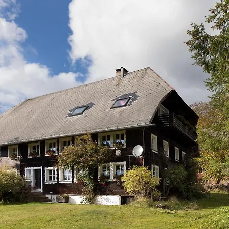 Holiday home Waelder: Quartier Dachsberg Dachsberg im Schwarzwald